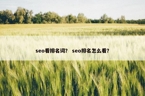 seo看排名词？ seo排名怎么看？