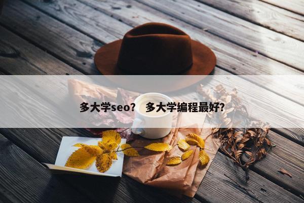 多大学seo？ 多大学编程最好？