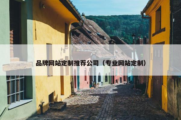 品牌网站定制推荐公司（专业网站定制）