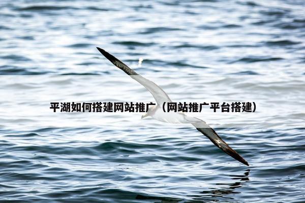 平湖如何搭建网站推广（网站推广平台搭建）