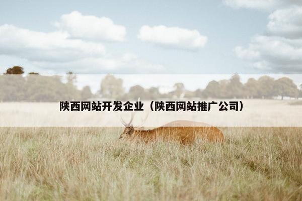 陕西网站开发企业（陕西网站推广公司）
