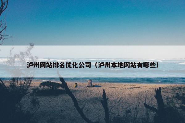 泸州网站排名优化公司（泸州本地网站有哪些）