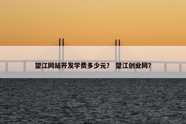 望江网站开发学费多少元？ 望江创业网？