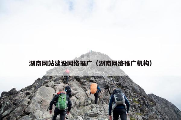 湖南网站建设网络推广（湖南网络推广机构）