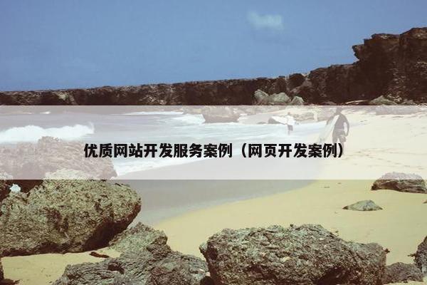 优质网站开发服务案例（网页开发案例）