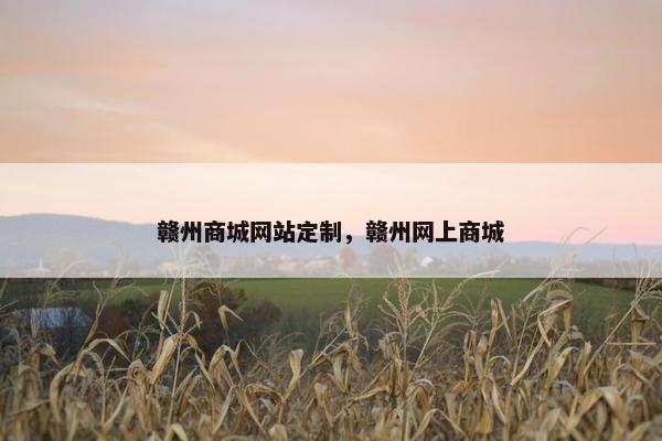 赣州商城网站定制，赣州网上商城