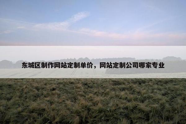 东城区制作网站定制单价，网站定制公司哪家专业