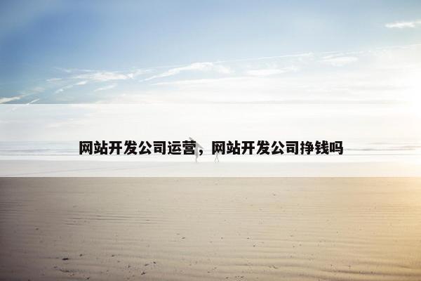 网站开发公司运营，网站开发公司挣钱吗