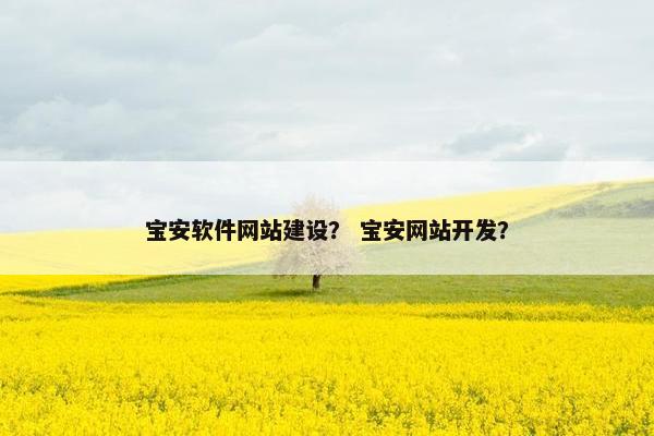 宝安软件网站建设？ 宝安网站开发？