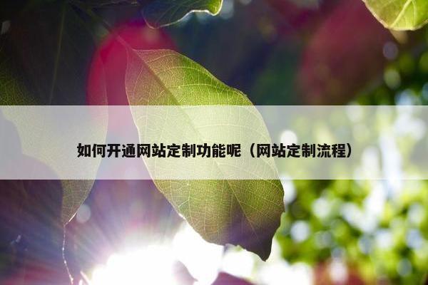 如何开通网站定制功能呢（网站定制流程）