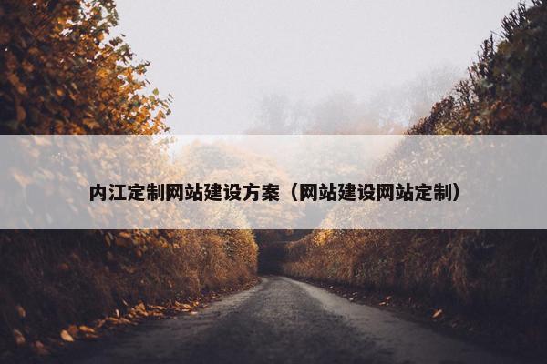 内江定制网站建设方案（网站建设网站定制）