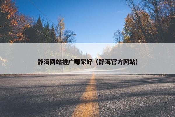 静海网站推广哪家好（静海官方网站）