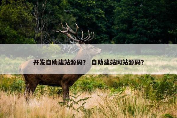 开发自助建站源码？ 自助建站网站源码？