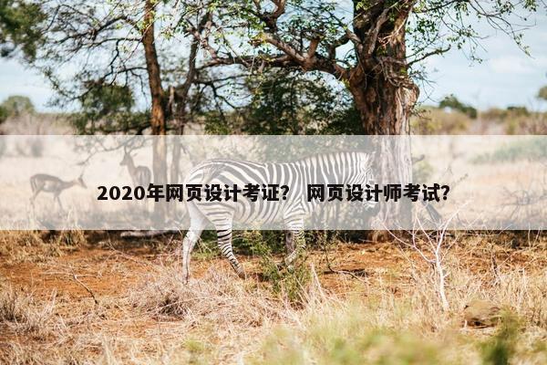 2020年网页设计考证？ 网页设计师考试？