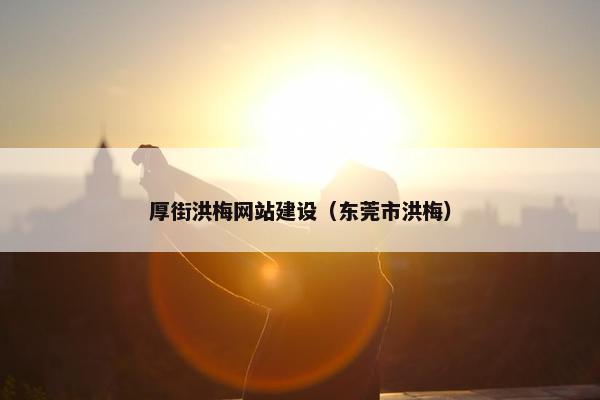 厚街洪梅网站建设（东莞市洪梅）