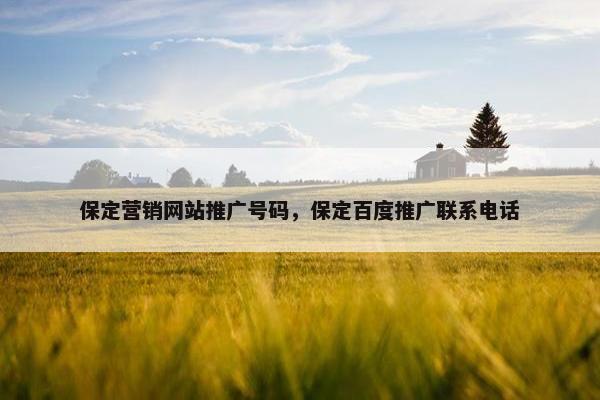 保定营销网站推广号码，保定百度推广联系电话