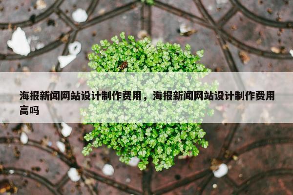 海报新闻网站设计制作费用，海报新闻网站设计制作费用高吗