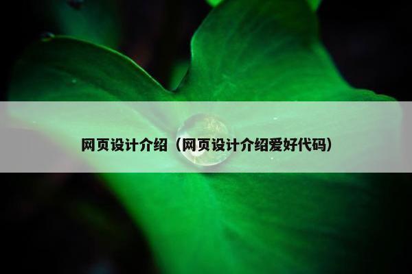 网页设计介绍（网页设计介绍爱好代码）