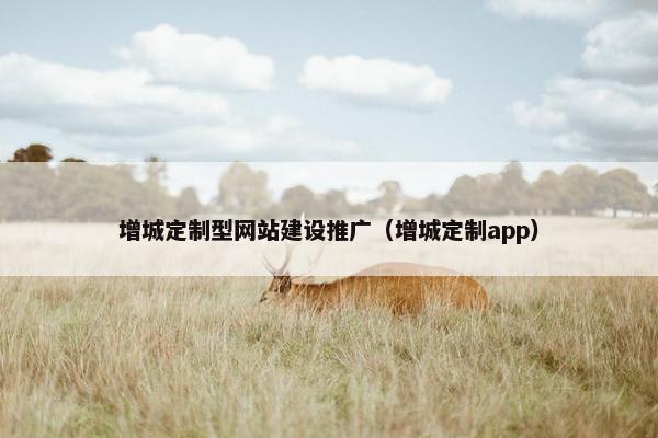 增城定制型网站建设推广（增城定制app）
