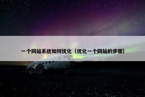一个网站系统如何优化（优化一个网站的步骤）