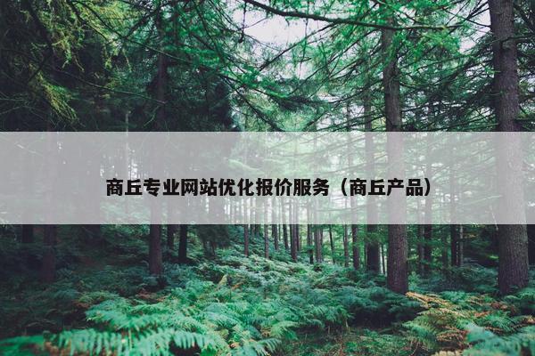 商丘专业网站优化报价服务（商丘产品）