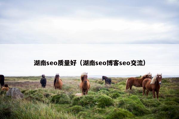 湖南seo质量好（湖南seo博客seo交流）