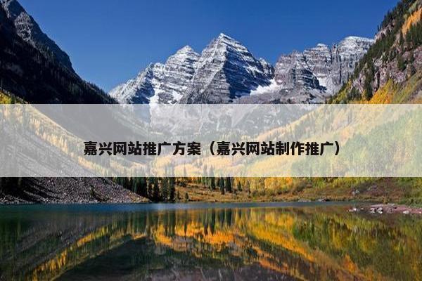 嘉兴网站推广方案（嘉兴网站制作推广）
