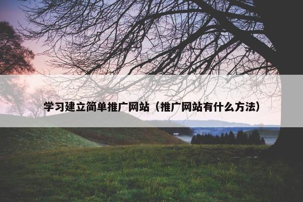 学习建立简单推广网站（推广网站有什么方法）