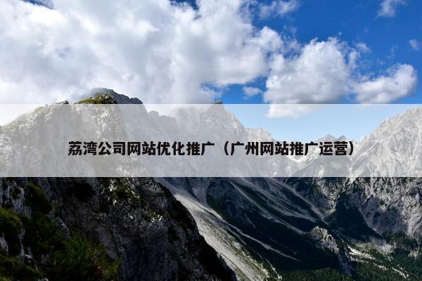 荔湾公司网站优化推广（广州网站推广运营）