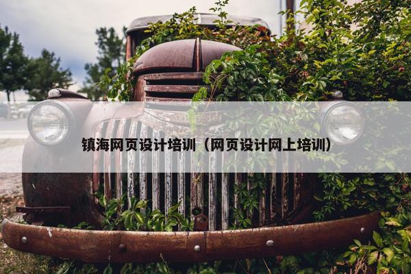 镇海网页设计培训（网页设计网上培训）