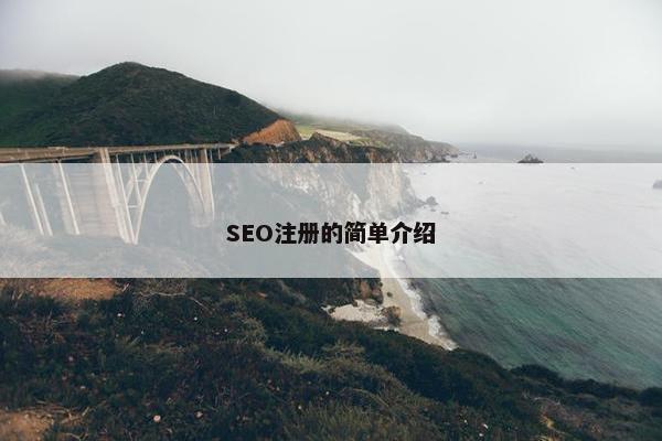 SEO注册的简单介绍