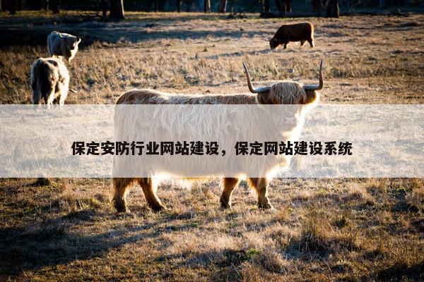 保定安防行业网站建设，保定网站建设系统