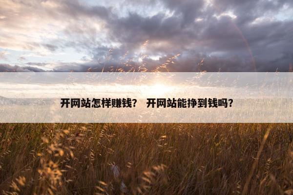开网站怎样赚钱？ 开网站能挣到钱吗？