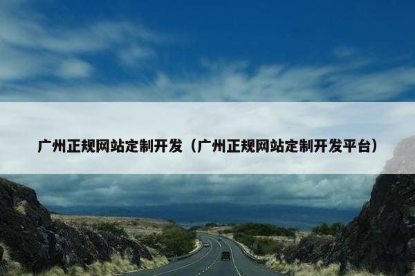 广州正规网站定制开发（广州正规网站定制开发平台）