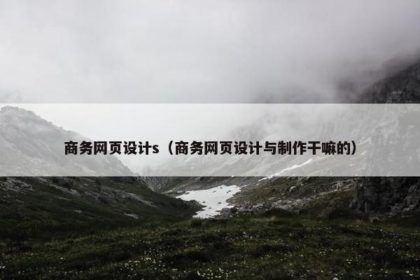 商务网页设计s（商务网页设计与制作干嘛的）
