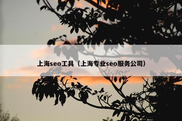 上海seo工具（上海专业seo服务公司）