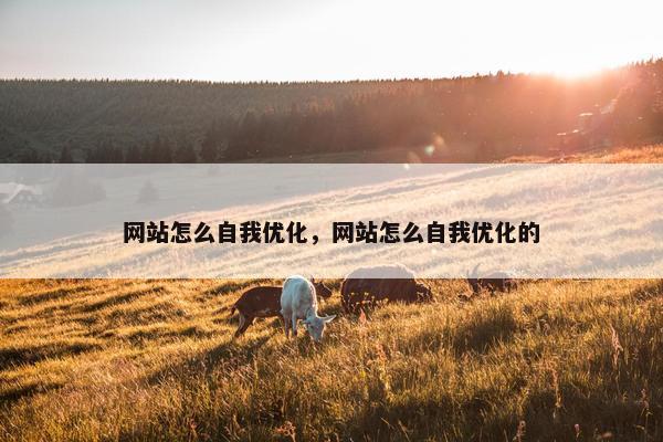 网站怎么自我优化，网站怎么自我优化的