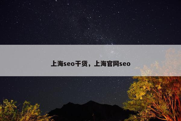 上海seo干货，上海官网seo