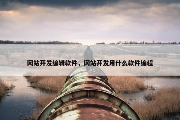 网站开发编辑软件，网站开发用什么软件编程