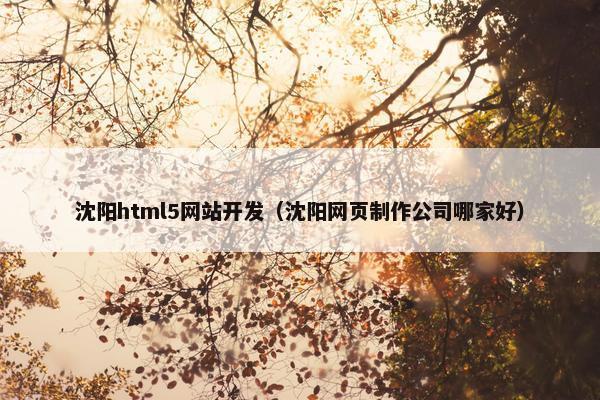沈阳html5网站开发（沈阳网页制作公司哪家好）