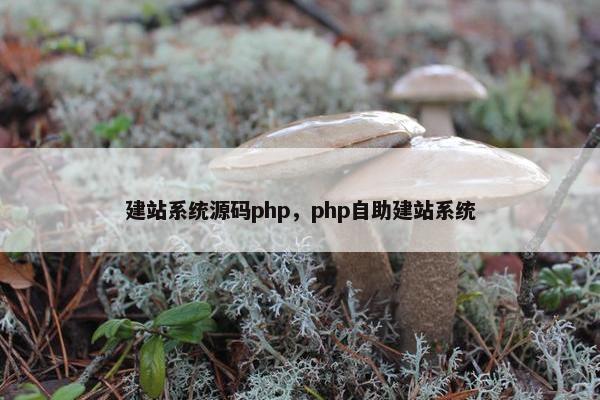 建站系统源码php，php自助建站系统