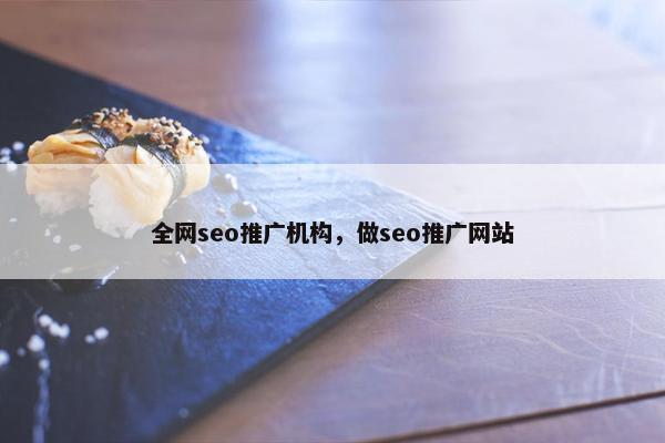 全网seo推广机构，做seo推广网站
