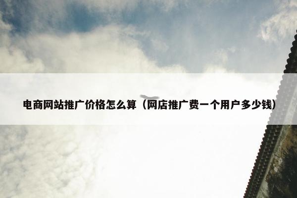 电商网站推广价格怎么算（网店推广费一个用户多少钱）