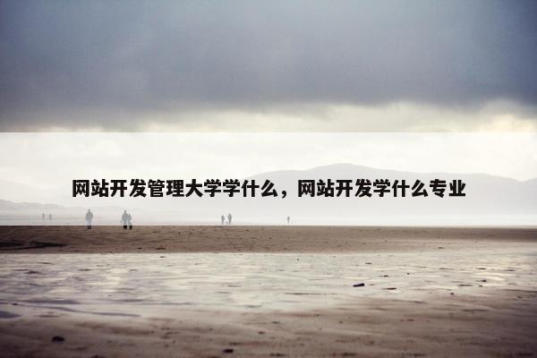 网站开发管理大学学什么，网站开发学什么专业