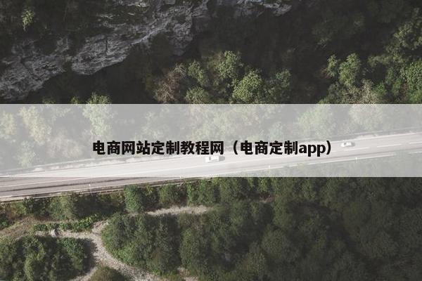 电商网站定制教程网（电商定制app）