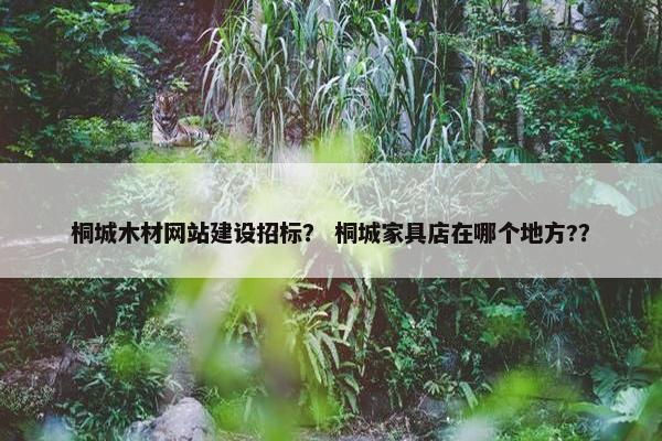 桐城木材网站建设招标？ 桐城家具店在哪个地方?？