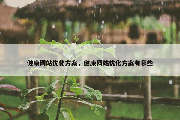 健康网站优化方案，健康网站优化方案有哪些