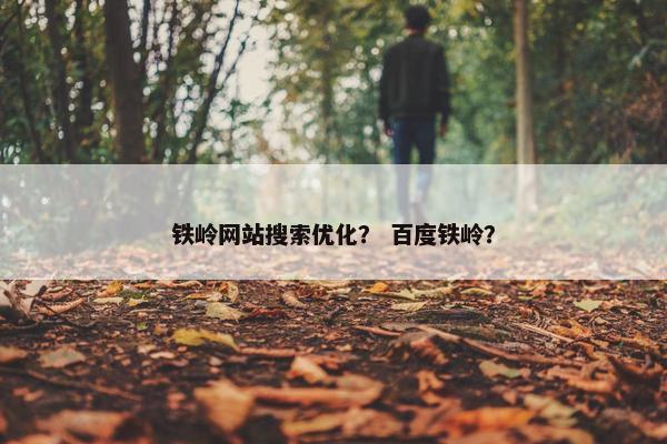 铁岭网站搜索优化？ 百度铁岭？