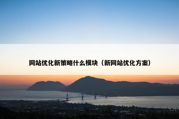 网站优化新策略什么模块（新网站优化方案）