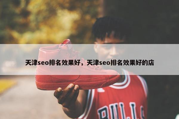 天津seo排名效果好，天津seo排名效果好的店